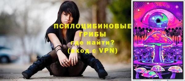 сатива Баксан