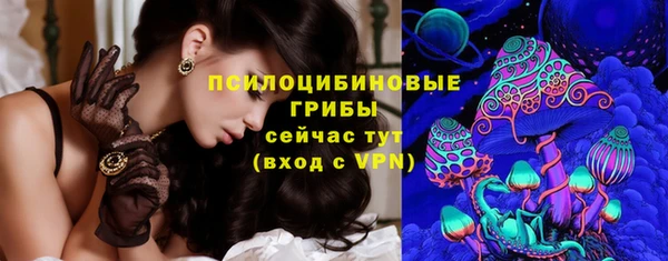 сатива Баксан