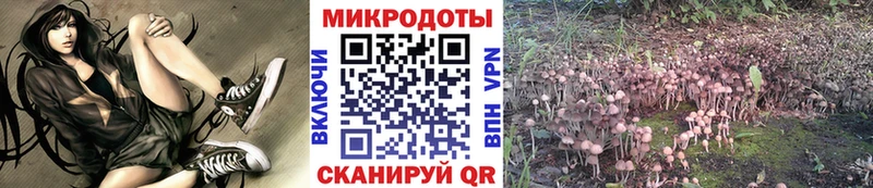 Галлюциногенные грибы Psilocybe  Барыш 